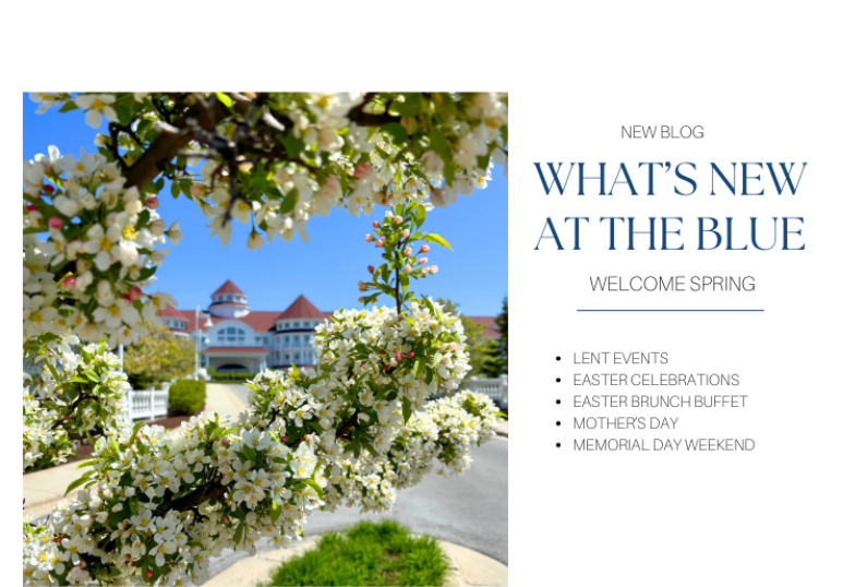 SPRING WHATS NEW AT THE BLUE BLOG