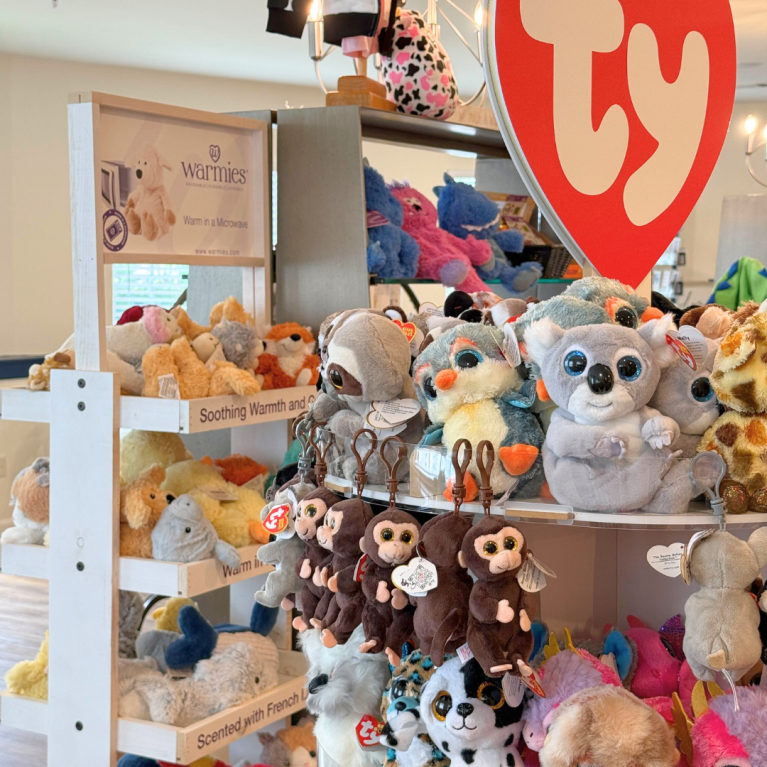 TOYS IN SHORELINE BOUTIQUE
