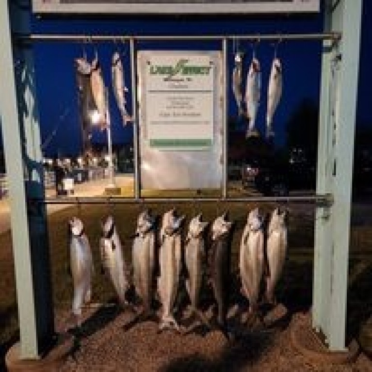 LAKE EFFECT CHARTER CATCH