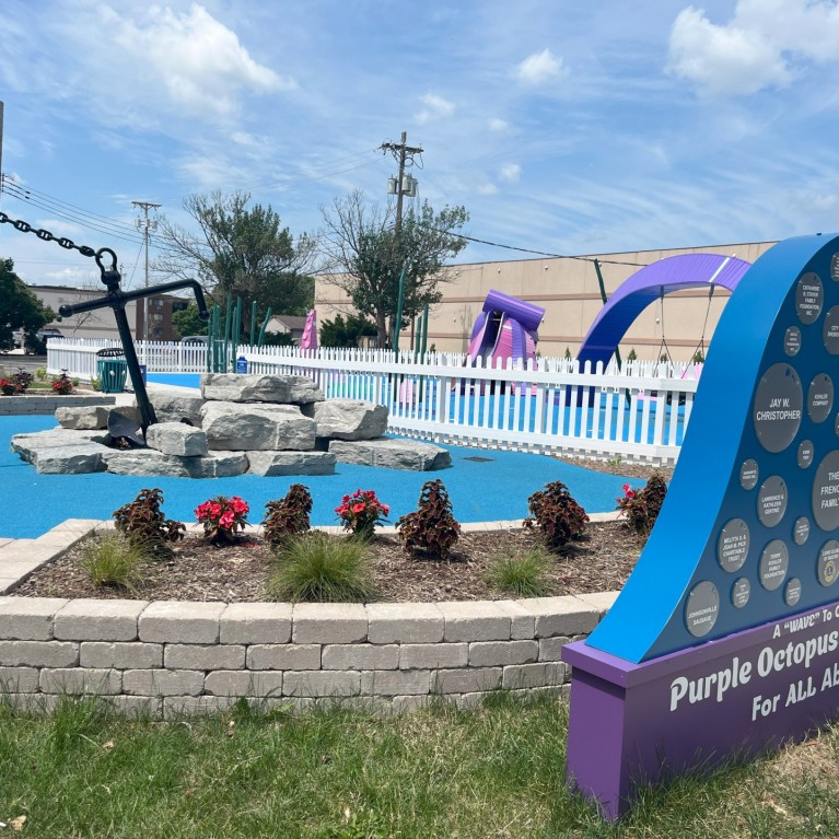 PURPLE OCTOPUS PLAYGROUND