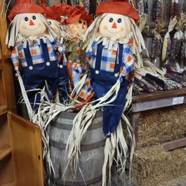 SPIEKERS MORE SCARECROWS