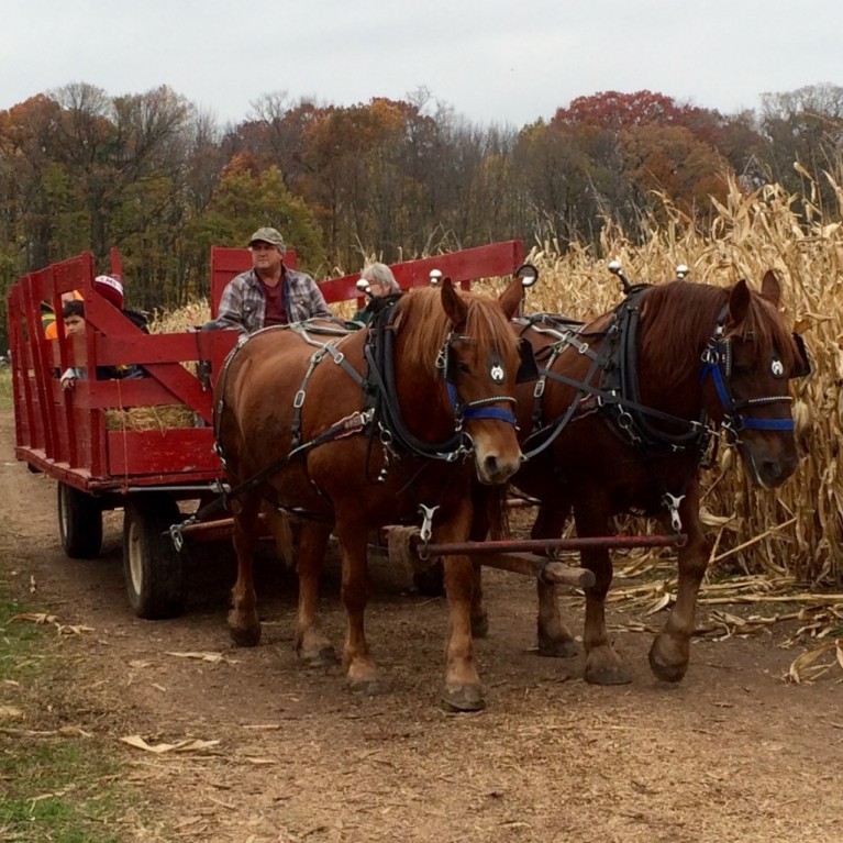 WAGON RIDES