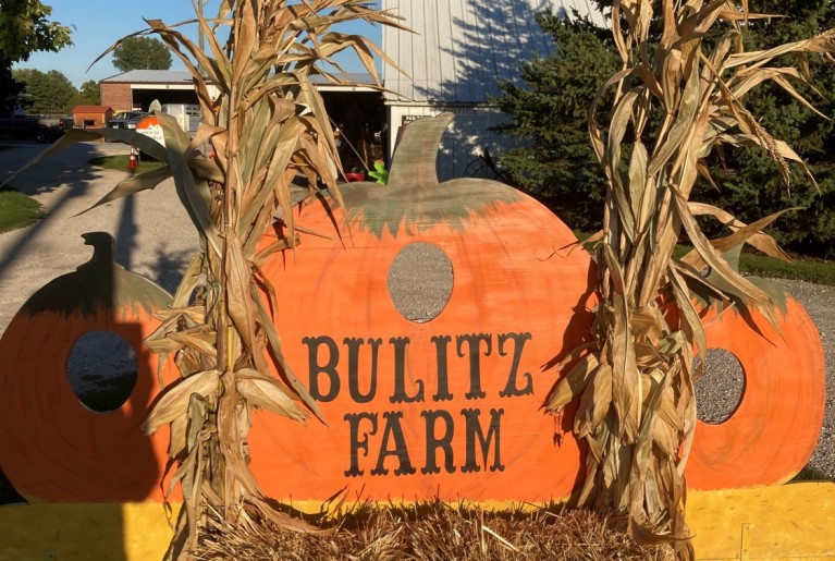 BULITZ FARM vertical