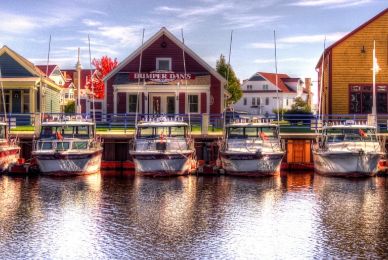 Dumper Dan Fleet HDR