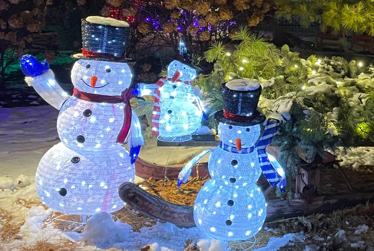 FROST FEST AT BOOKWORM GARDENS WEB GRAPHIC