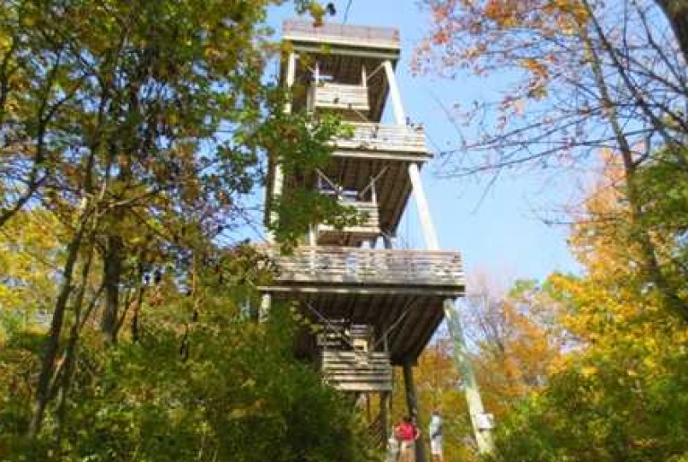 PARNELL TOWER FROM TRAVEL WI