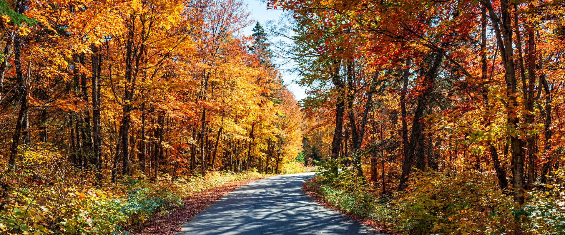 KETTLE MORAINE SCENIC DRIVE NEAR BLUE HARBOR RESORT