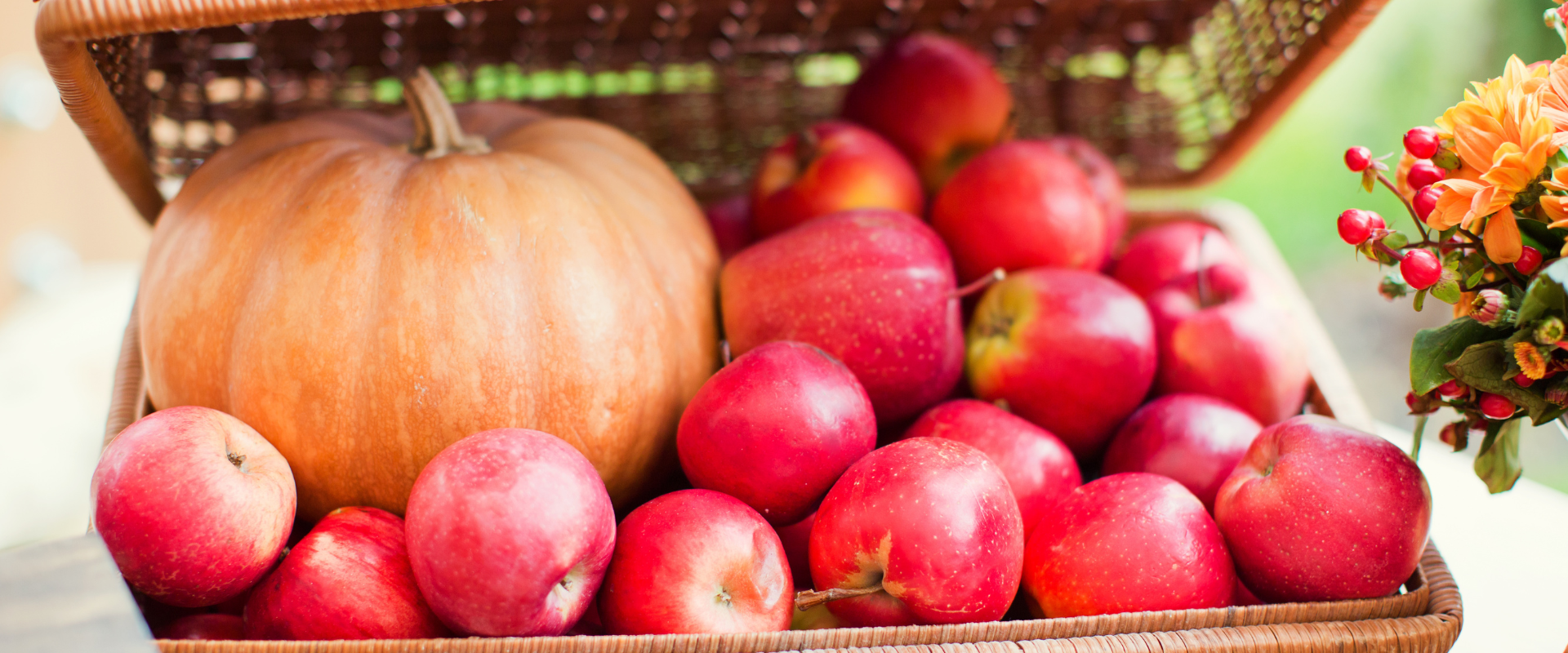 PUMPKIN PATCHES APPLE ORCHARDS NEAR BLUE HARBOR RESORT WEBSITE HEADER